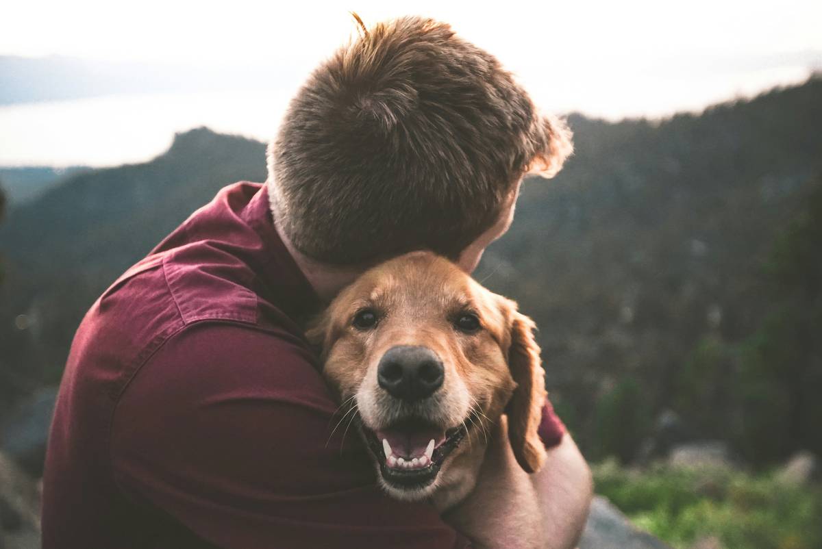 certify emotional support dog checklist