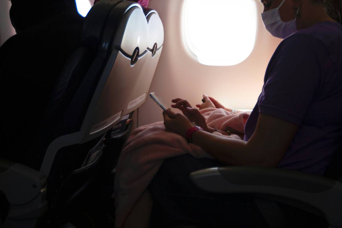 emotional support dog travel rights on international flight with proper paperwork