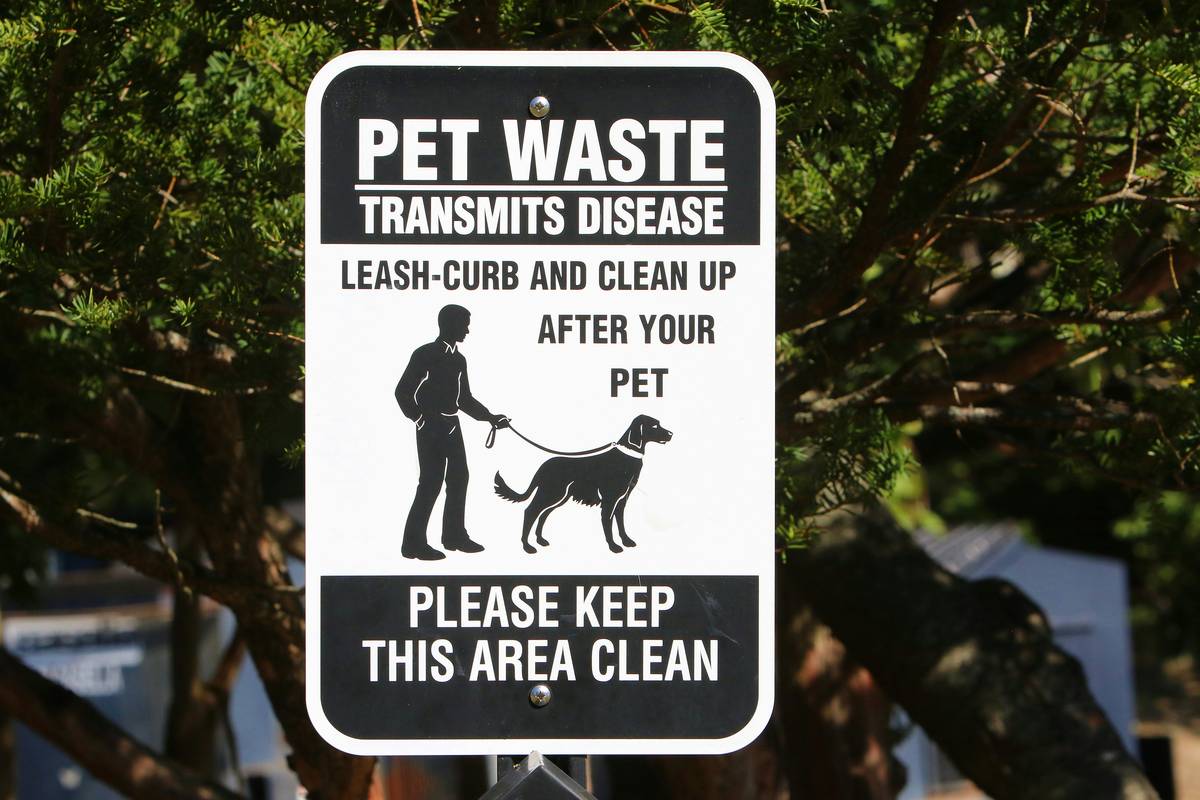 Emotional support dog in apartment protected under esa housing law rights