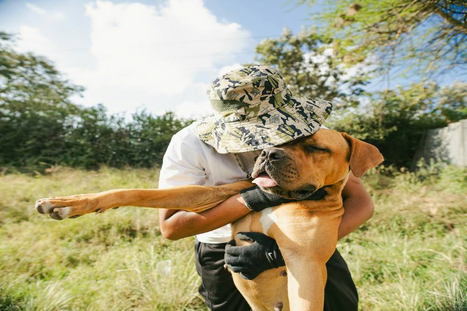 Trainer gently guiding emotional support dog during calm indoor session