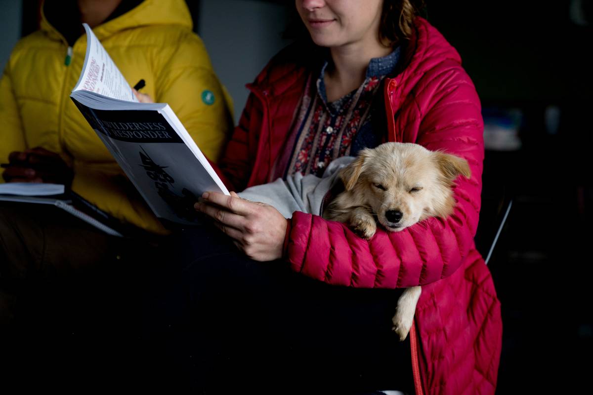 comparison of esa dog certification standards options with costs and legal validity