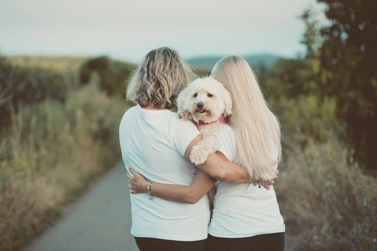 emotional support dog certification process comparing valid vs invalid documentation methods