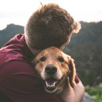 ESA Certification Application Guide: 7 Proven Steps to Avoid Costly Mistakes
